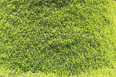 生物收集类角色扮演游戏《黄泉路探险队》现已在Steam平台正式推出