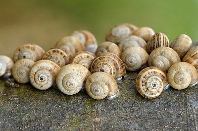 《使命召唤19》PC版首日更新上线 大小约为55GB